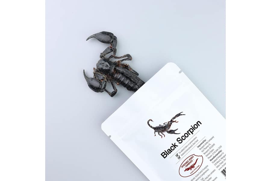 edible black scorpion