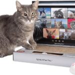 Mini Laptop for Cats