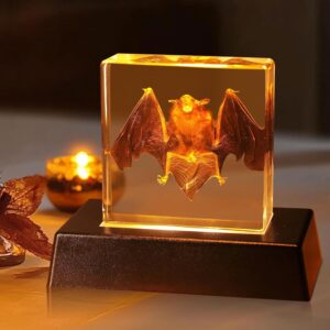 Illuminate Your Bedroom: The Ultimate Guide to Light Up Taxidermy Bats for Unique Home Decor